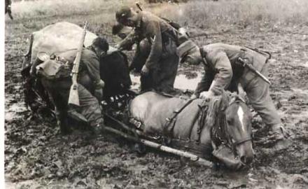 Бельгийских добровольцев, воевавших в составе войск СС во II Мировой войне, шокировала нищета и грязь Донбасса